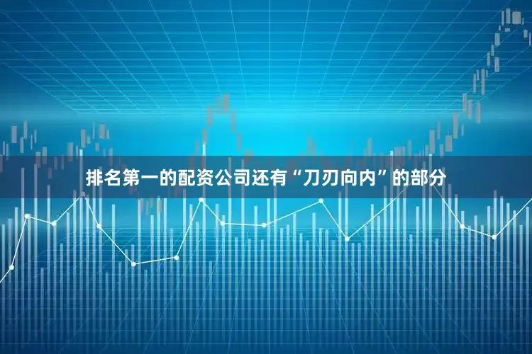 排名第一的配资公司还有“刀刃向内”的部分