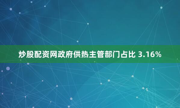 炒股配资网政府供热主管部门占比 3.16%