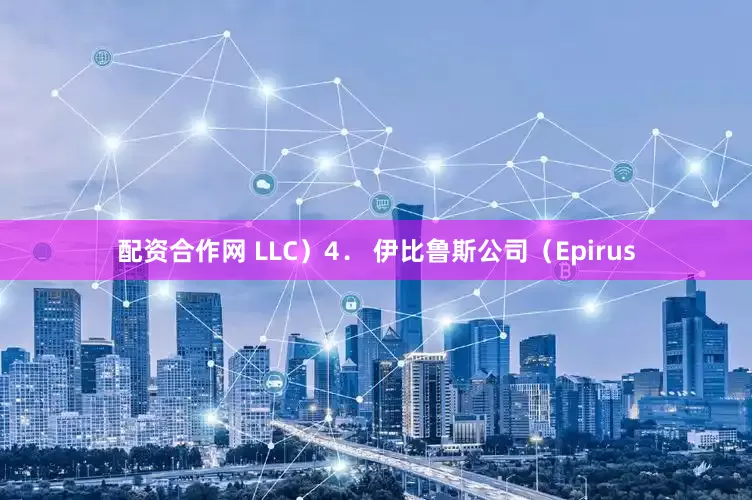 配资合作网 LLC）　　4． 伊比鲁斯公司（Epirus