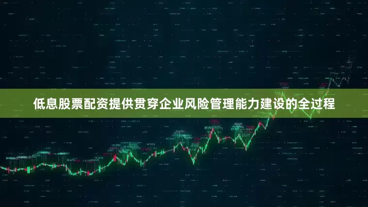 低息股票配资提供贯穿企业风险管理能力建设的全过程
